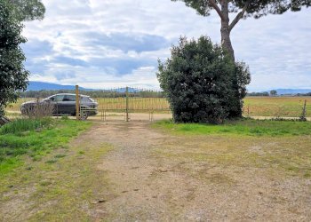 Foto 13 - Rustico Roccastrada - foto 13