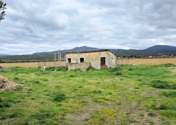 Foto 14 - Rustico Roccastrada - foto 14