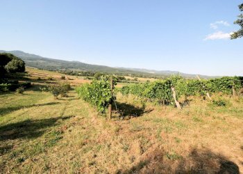 Foto 4 - Rustico Roccastrada - foto 4