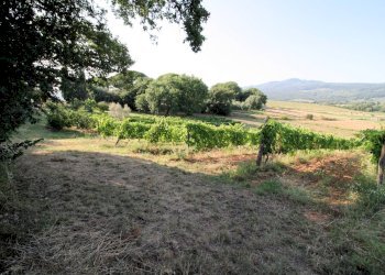 Foto 6 - Rustico Roccastrada - foto 6