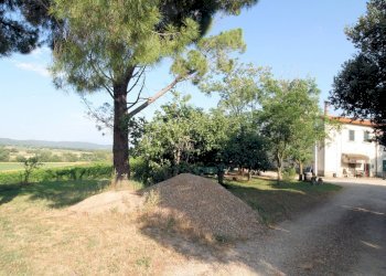 Foto 11 - Rustico Roccastrada - foto 11