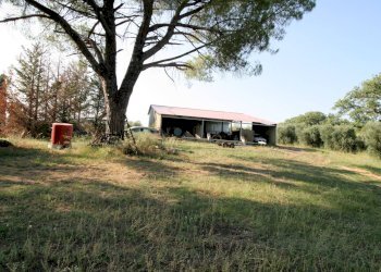 Foto 14 - Rustico Roccastrada - foto 14