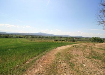 Foto 15 - Rustico Roccastrada - foto 15