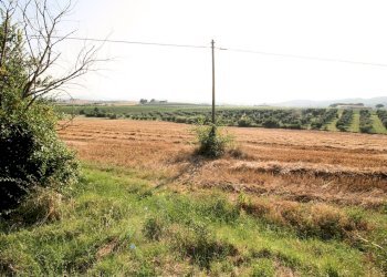 Foto 19 - Rustico Roccastrada - foto 19