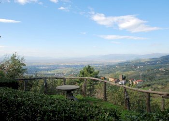 Foto 8 - Rustic Lamporecchio - photo 8