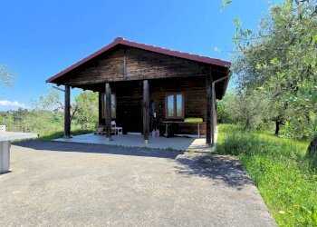 Foto 10 - Rustico Palaia - foto 10