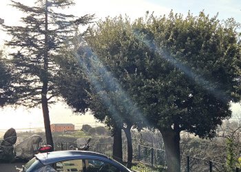 Foto 13 - Apartment Via Bartolomeo Bianco, Genova - photo 13