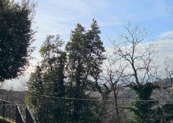 Foto 18 - Apartment Via Bartolomeo Bianco, Genova - photo 18