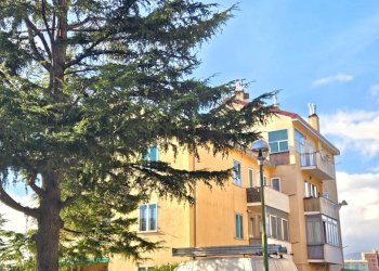 Foto 20 - Apartment Via Bartolomeo Bianco, Genova - photo 20