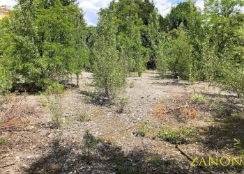 Foto 4 - Terreno edificabile via caprin, Gorizia - foto 4