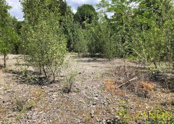 Foto 5 - Terreno edificabile via caprin, Gorizia - foto 5