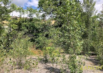 Foto 7 - Terreno edificabile via caprin, Gorizia - foto 7