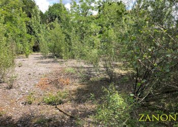 Foto 10 - Terreno edificabile via caprin, Gorizia - foto 10