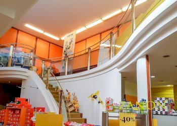 Foto 5 - Locale Commerciale via Oberdan, Gorizia - foto 5