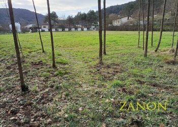 Foto 5 - Terreno edificabile Via Pelicon, Savogna d'Isonzo - foto 5