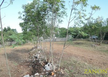 Foto 1 - Terreno edificabile Via Vanisella, Sagrado - foto 1