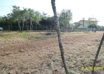 Foto 2 - Terreno edificabile Via Vanisella, Sagrado - foto 2