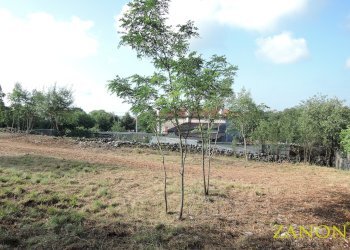 Foto 3 - Terreno edificabile Via Vanisella, Sagrado - foto 3