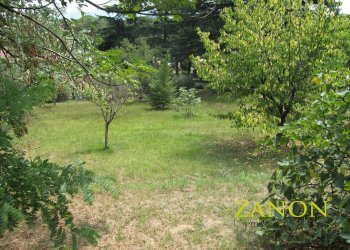 Foto 6 - Terreno edificabile Via Cecotti, Gorizia - foto 6