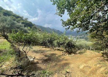 Foto 4 - Casa semi indipendente Periferico, Ventimiglia - foto 4