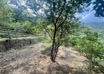 Foto 6 - Casa semi indipendente Periferico, Ventimiglia - foto 6