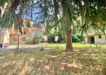 Foto 6 - Stabile - Palazzo Dolceacqua, Dolceacqua - foto 6