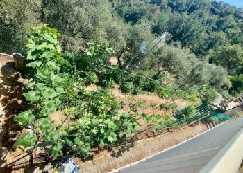 Foto 15 - Independent house zona collinare, Camporosso - photo 15