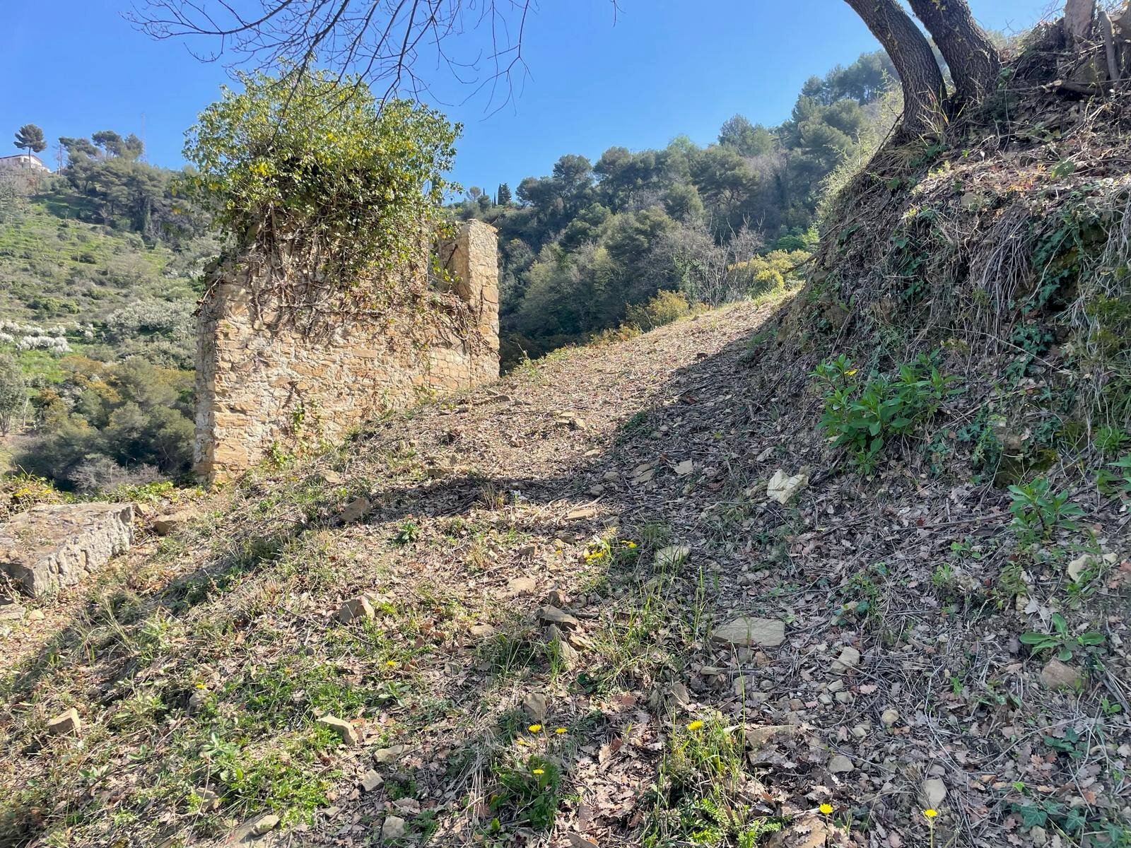 Foto 1 - Terreno edificabile San Biagio della Cima - foto 1