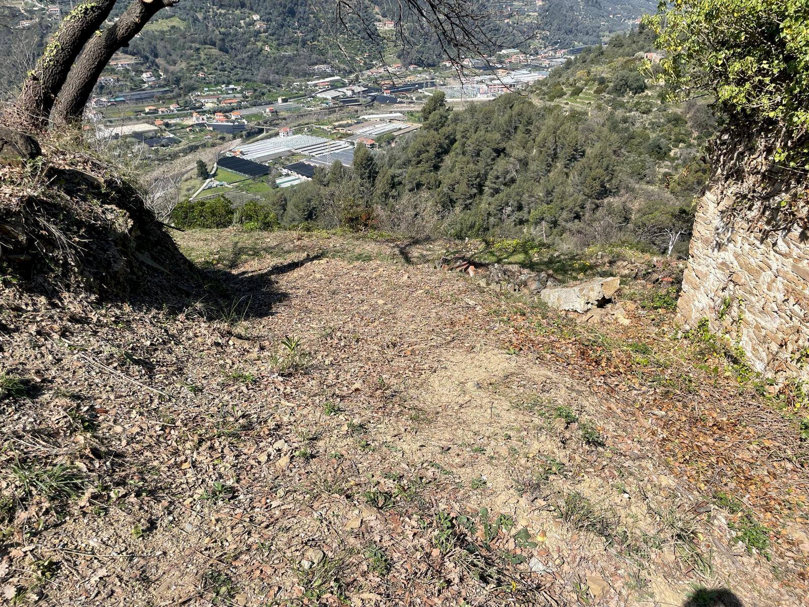 Foto 3 - Terreno edificabile San Biagio della Cima - foto 3