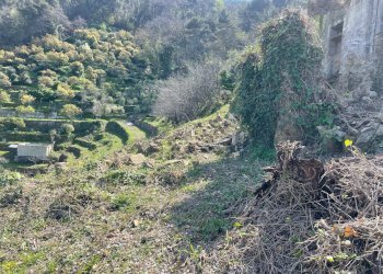 Foto 7 - Terreno edificabile San Biagio della Cima - foto 7