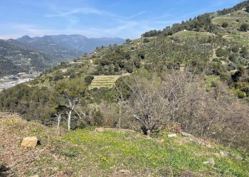 Foto 2 - Terreno edificabile San Biagio della Cima - foto 2