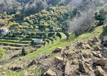 Foto 9 - Terreno edificabile San Biagio della Cima - foto 9