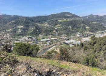 Foto 10 - Terreno edificabile San Biagio della Cima - foto 10