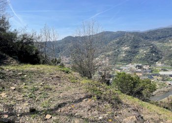 Foto 11 - Terreno edificabile San Biagio della Cima - foto 11