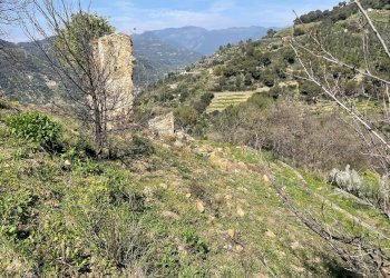 Foto 6 - Terreno edificabile San Biagio della Cima - foto 6