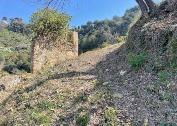 Foto 1 - Terreno edificabile San Biagio della Cima - foto 1