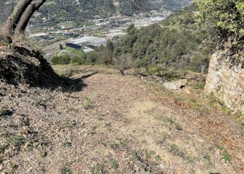 Foto 3 - Terreno edificabile San Biagio della Cima - foto 3