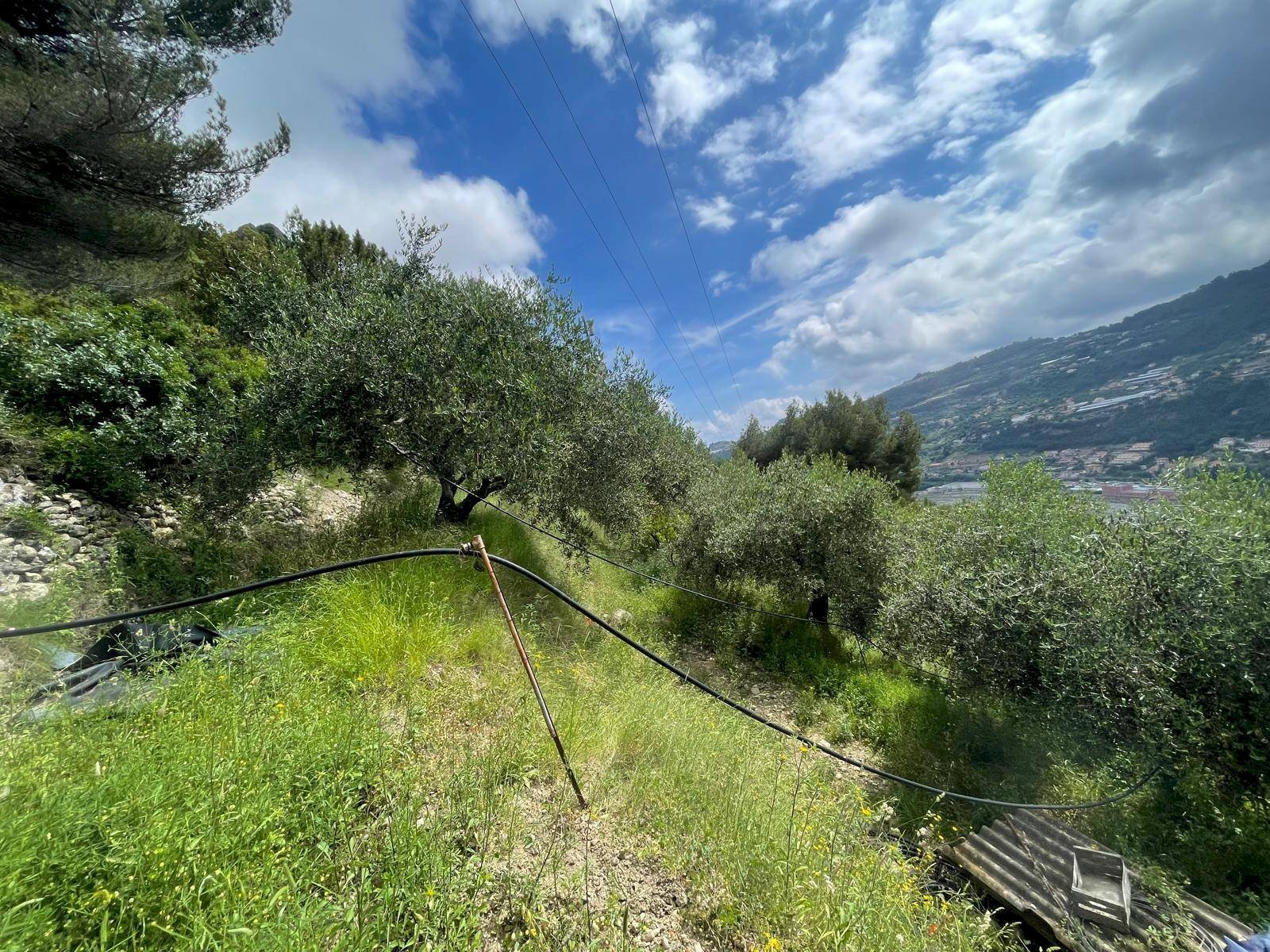 Foto 2 - Terreno edificabile Strada Ciaixe, Camporosso - foto 2