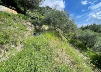 Foto 1 - Terreno edificabile Strada Ciaixe, Camporosso - foto 1