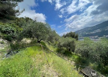 Foto 2 - Terreno edificabile Strada Ciaixe, Camporosso - foto 2