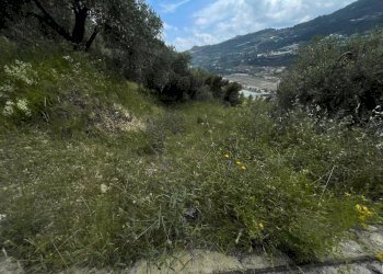 Foto 6 - Terreno edificabile Strada Ciaixe, Camporosso - foto 6