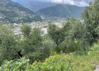 Foto 9 - Terreno edificabile Strada Ciaixe, Camporosso - foto 9