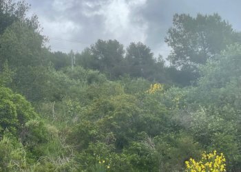 Foto 10 - Terreno edificabile Strada Ciaixe, Camporosso - foto 10