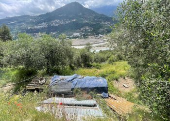 Foto 11 - Terreno edificabile Strada Ciaixe, Camporosso - foto 11