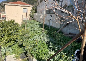 Foto 12 - Terreno edificabile Via Maule, Ventimiglia - foto 12