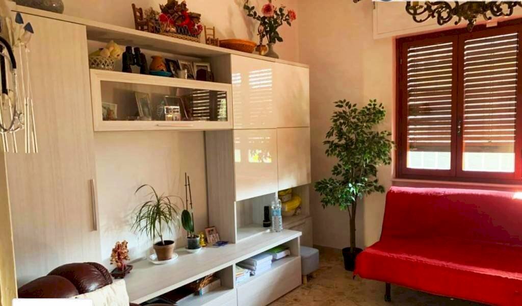 Foto 1 - Casa indipendente VIA DEL PADULETTO, Camaiore - foto 1