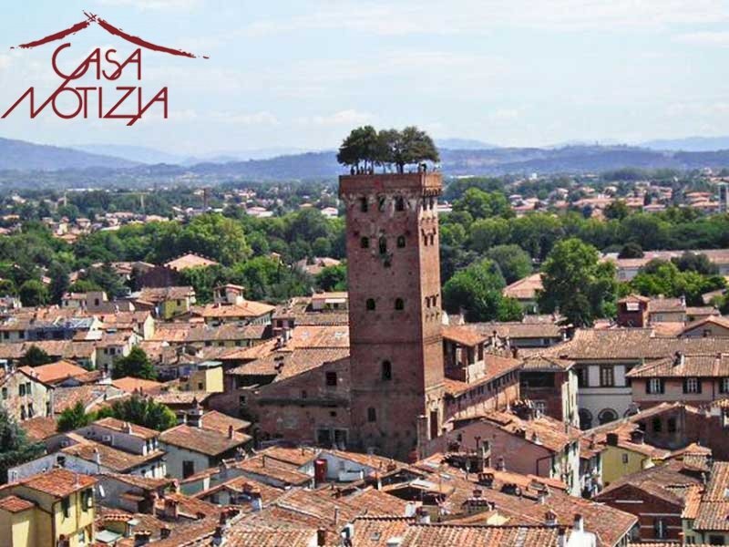 Foto 1 - Shop Lucca - photo 1