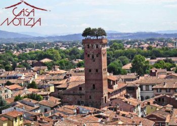 Foto 1 - Shop Lucca - photo 1