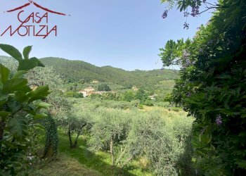 Foto 32 - Rustico via del cimitero di vorno, Capannori - foto 32