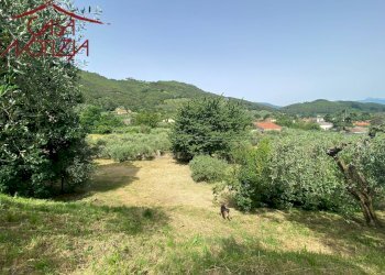 Foto 35 - Rustico via del cimitero di vorno, Capannori - foto 35